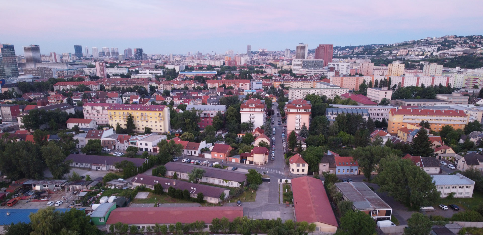 Slide Image